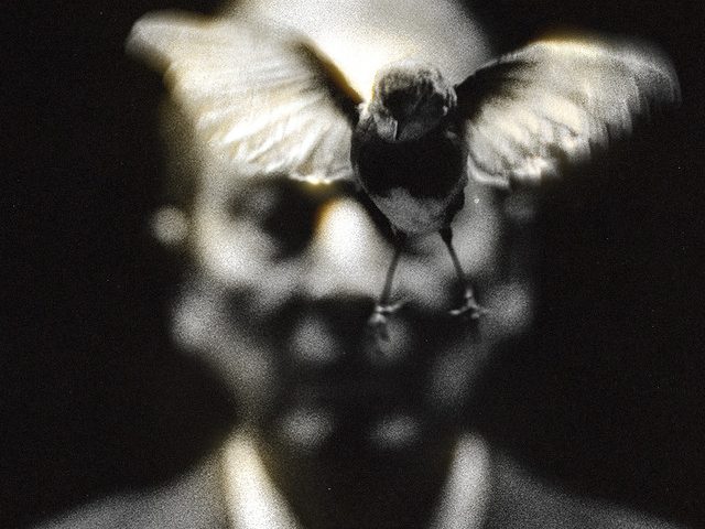 Midas by Wunderhorse album cover featuring a black and white photo of a bird flying in front of an old man