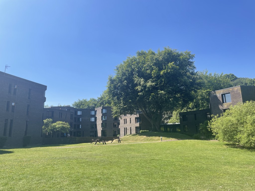A picture of Trevs from the back lawn, looking up at the main building and a large tree. It is a lovely summer day with a bright blue sky.