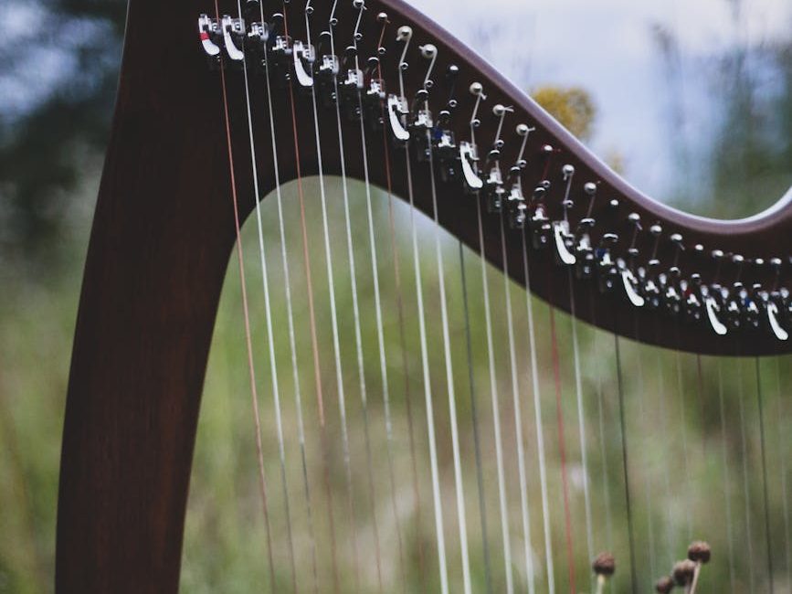 A brown wooden harp with a thistle tangled in the strings.