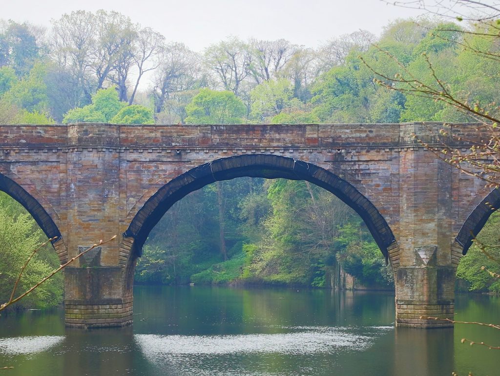 Prebends bridge surrounded by trees.