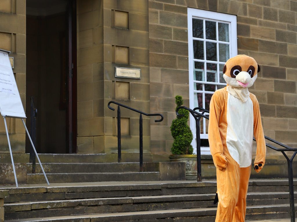 A Picture of the Mary's Mascot looking downcast. Likely due to a Sporting Loss to Trevs.