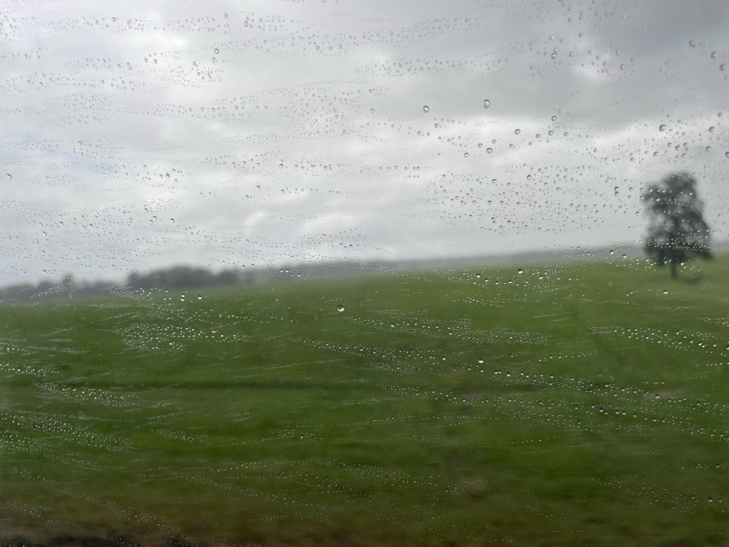 A view of a field and tree out of a rain-speckled train window.