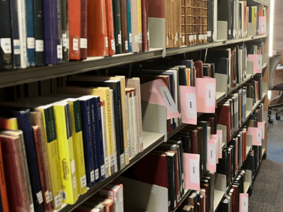 HEAD TO HEAD: Trevs Library VS the Billy&nbsp;B